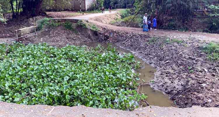 sp3 - Bd Sylhet News